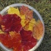 AUTUMN LEAVES - BUSH .30ML