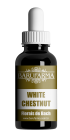 WHITE CHESTNUT 30ML